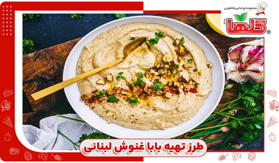 طرز تهیه بابا غنوش لبنانی